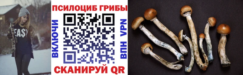 купить наркотик Тотьма Галлюциногенные грибы ЛСД